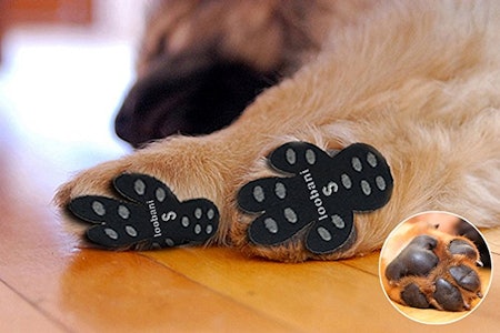 The 6 Best Dog Socks For Hardwood Floors