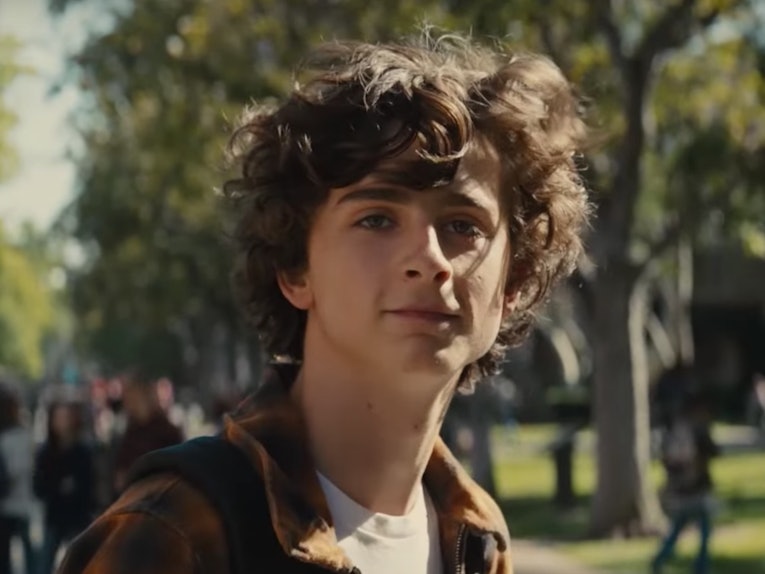 Is 'Beautiful Boy' Based On A True Story? Timothee