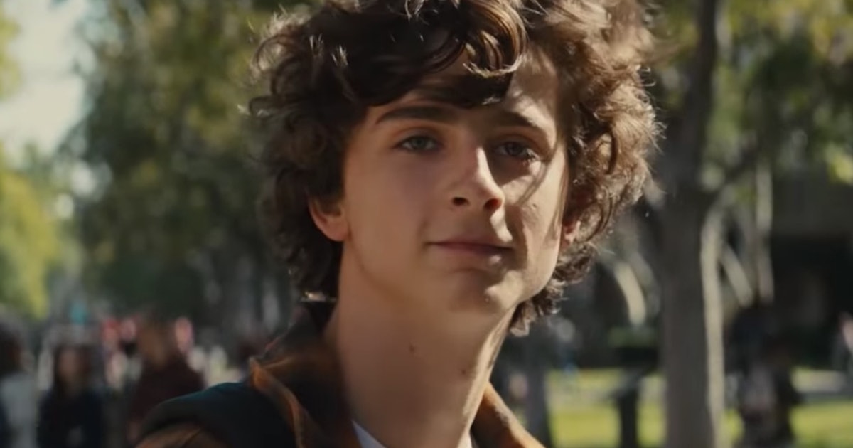 Is 'Beautiful Boy' Based On A True Story? Timothee
