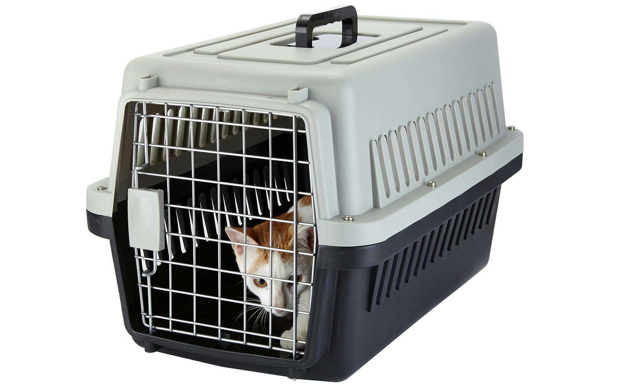 cat carrier for plane