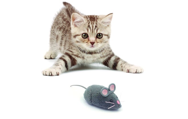 HEXBUG Mouse Cat Toy
