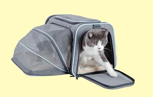 air travel cat carrier
