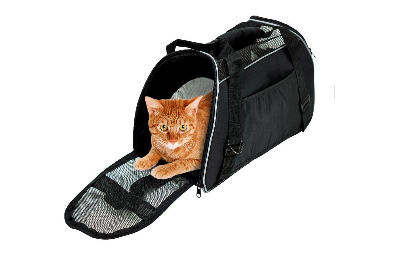 best cat carrier for airline travel