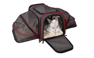 Airline approved cat carrier cargo Clearance