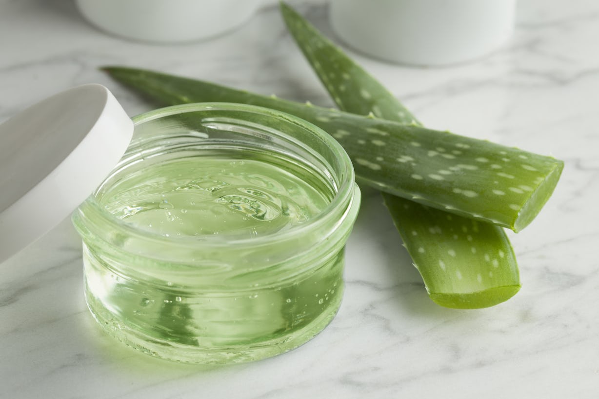 Can I Put Aloe Vera On My Baby? Here's What You Need To Know Before