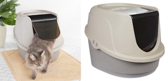 AmazonBasics Hooded Cat Litter Box