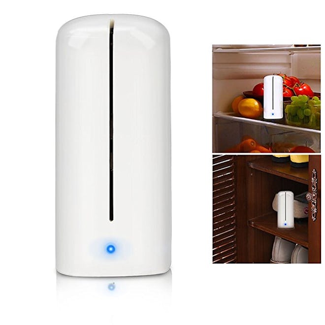 Number-One Ozone Refrigerator Purifier