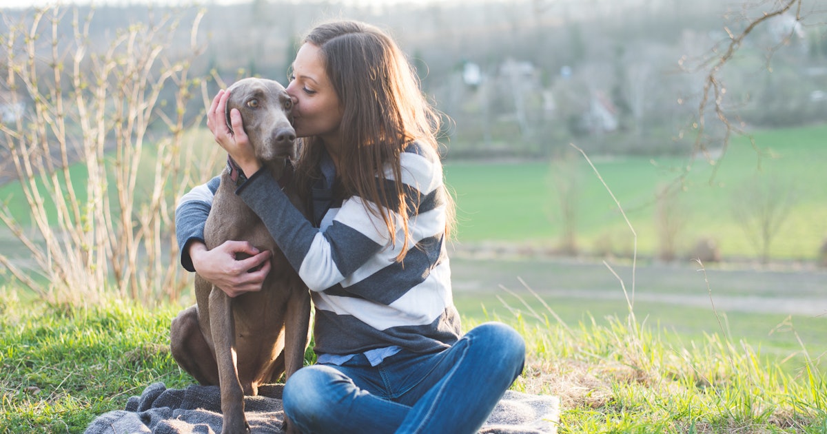 10 Instagram Captions For Your Bff Dog Because National