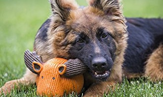 HuggleHounds Extremely Durable Ruff-Tex Latex Dog Toy