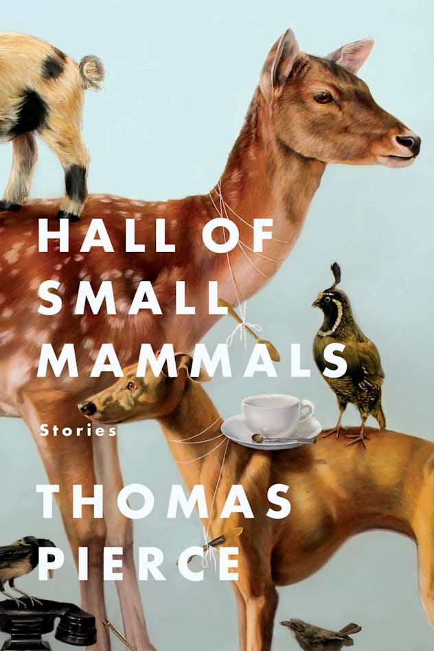 11 short stories about summer you can read in one sitting on the beach