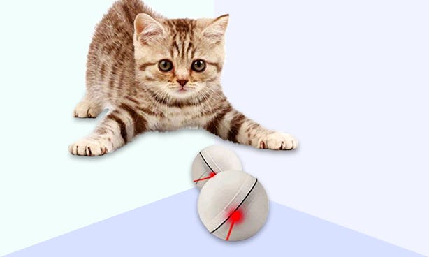 best cat toys for aggressive cats