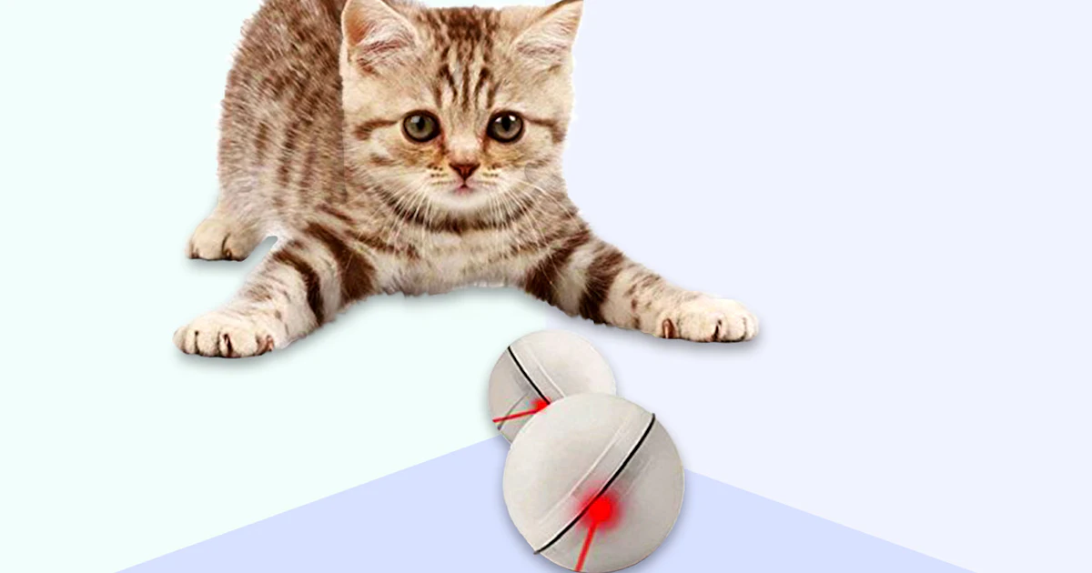 The 7 Best Cat Toys For Active Cats best cat toys for active kittens