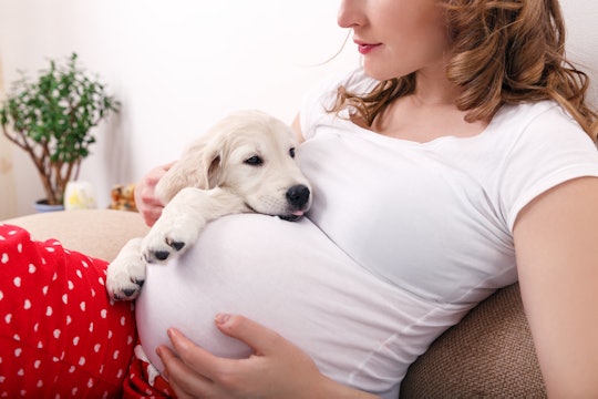woman holding pregnant belly on couch with small golden retriever puppy in other arm