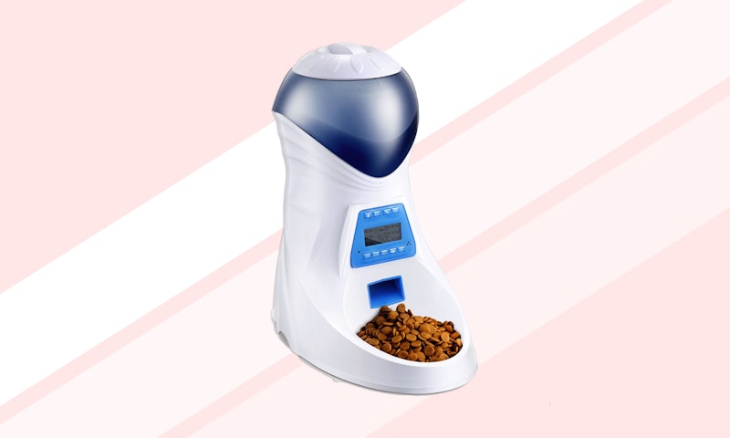 The 5 Best Automatic Cat Feeders