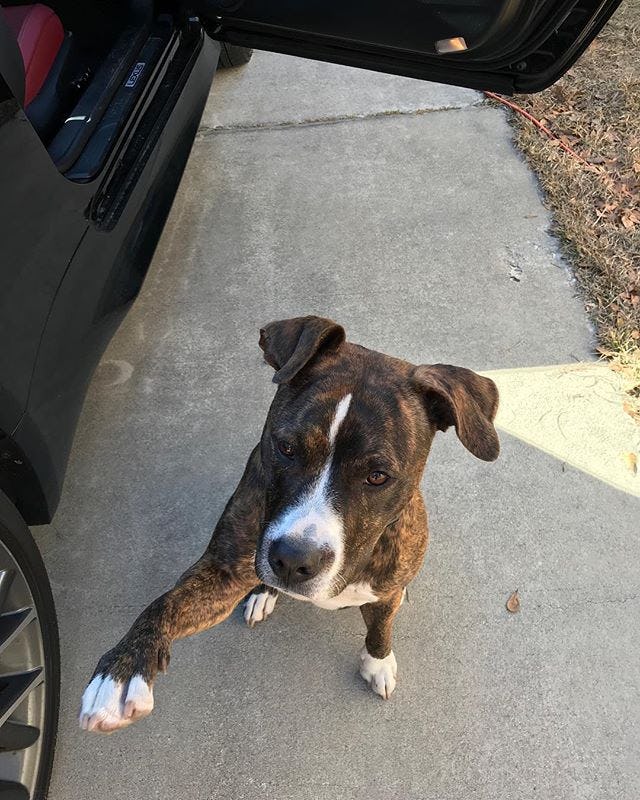 Kortni's Instagram Shows The 'Floribama Shore' Is More Laid Back