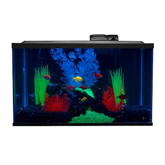 GloFish Fish Tank Kit