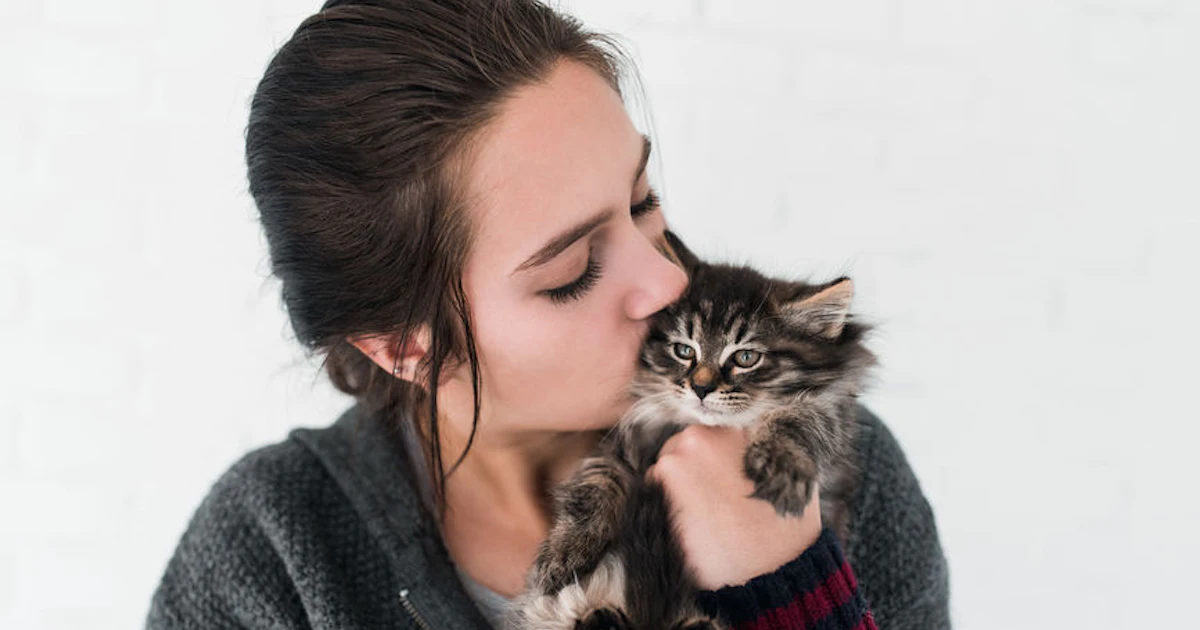 6 Signs Your Cat Loves You Rather Than Tolerates You According To Experts