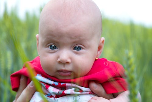 Baby with pierced ears, wearing a red shirt, being held in a field of tall grass