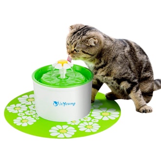 isYoung Cat Fountain 1.6L Automatic Pet 