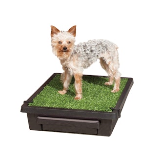 PetSafe Pet Loo Portable Indoor/Outdoor Dog Potty