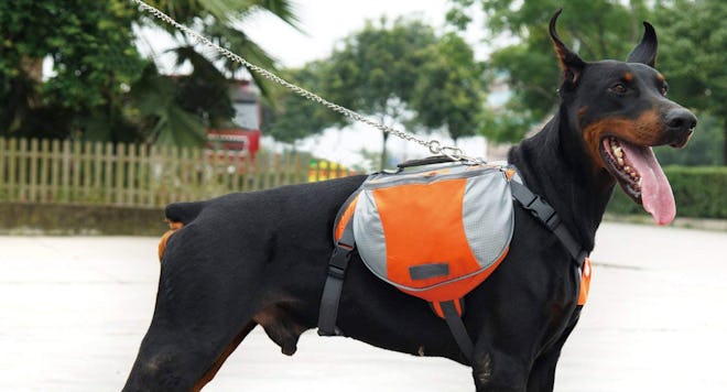 PAWABOO Dog Backpack Saddle Bag Harness
