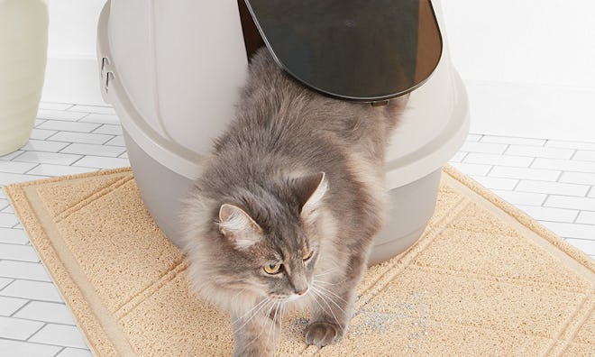 AmazonBasics Hooded Cat Litter Box 