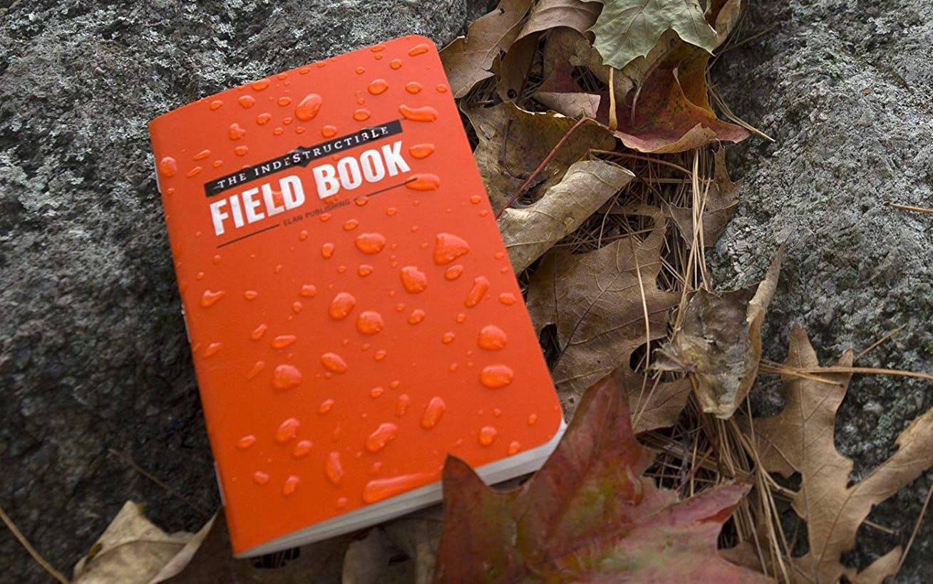 The 6 Best Travel Journals