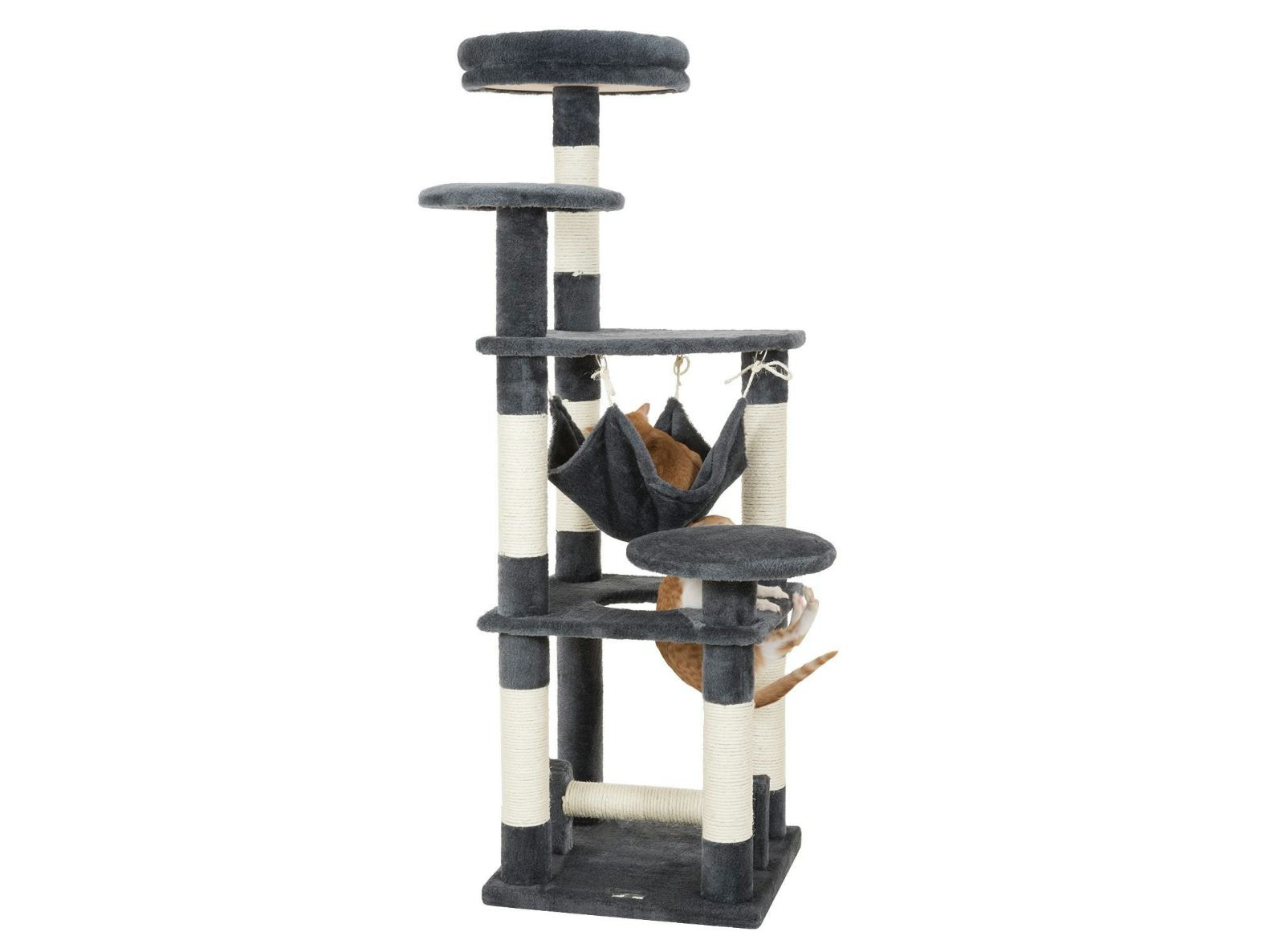 4 Best Sturdy Cat Trees