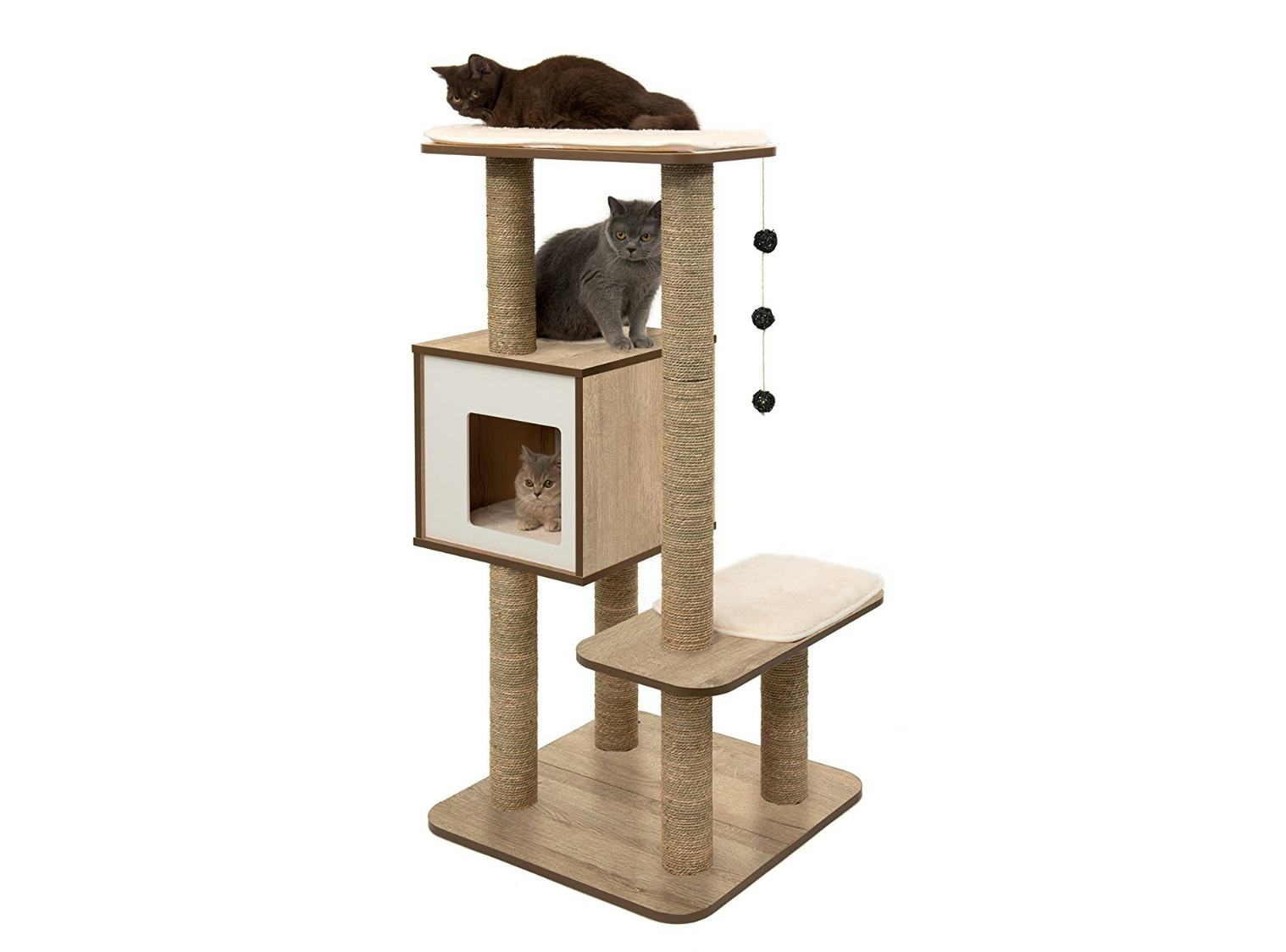 4 Best Sturdy Cat Trees
