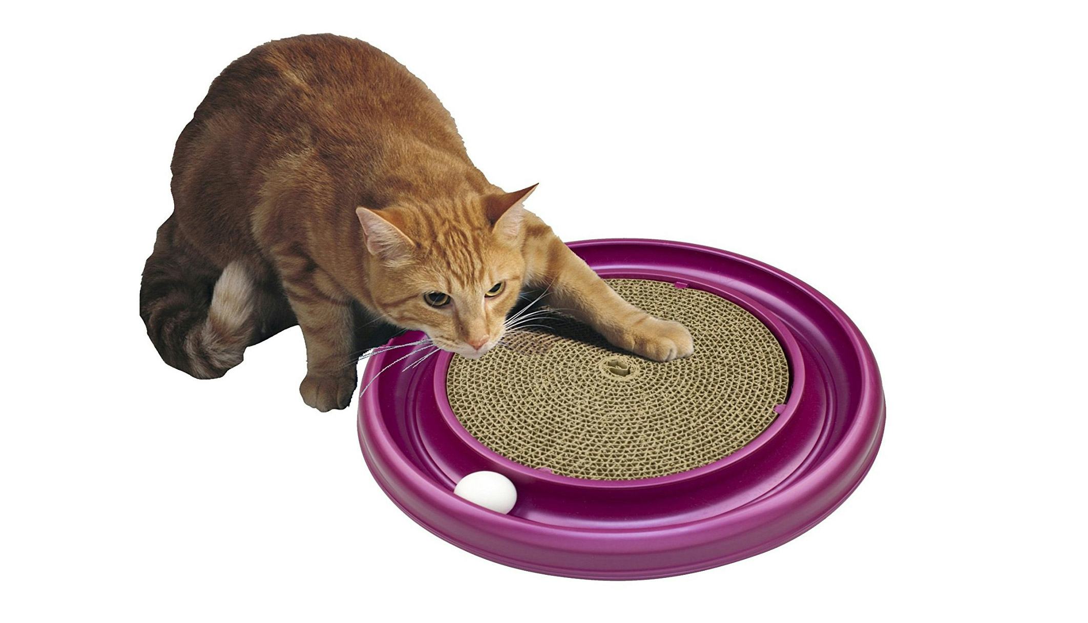 The 6 Best Toys For Large Cats