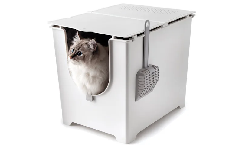 The 5 Best Cat Litter Boxes For Small Spaces best cat litter box for small apartment