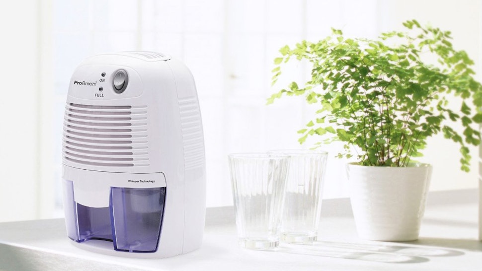 the 5 best small dehumidifiers