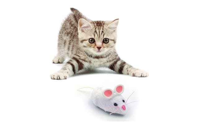Hexbug Mouse Robotic Cat Toy