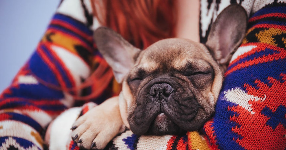 Experts Reveal Whether Cuddling With Your Dog At Night Is Good For You & It's A Ruff Call