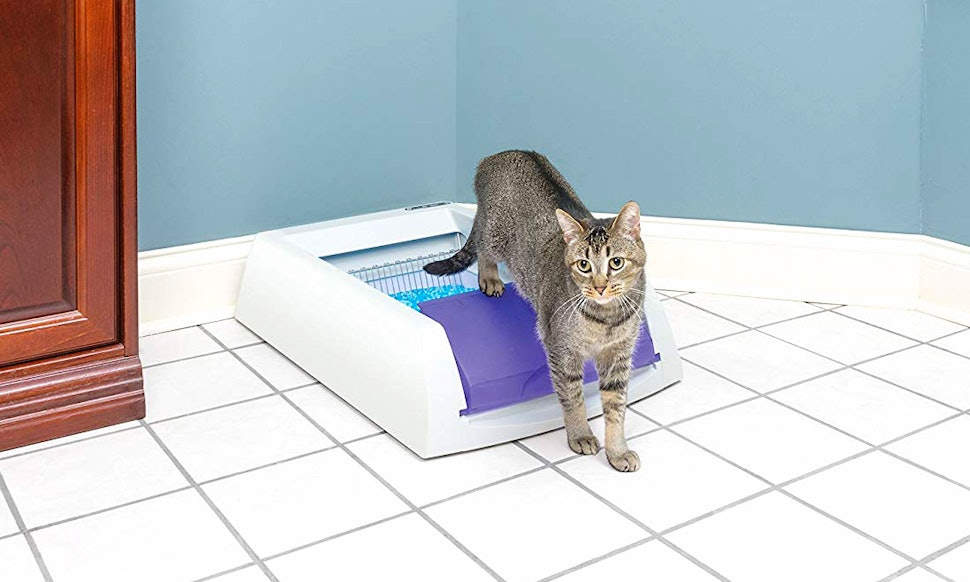 Automatic kitty litter box reviews Outlet