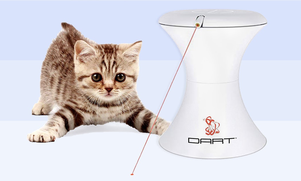 The 7 Best Interactive Cat Toys