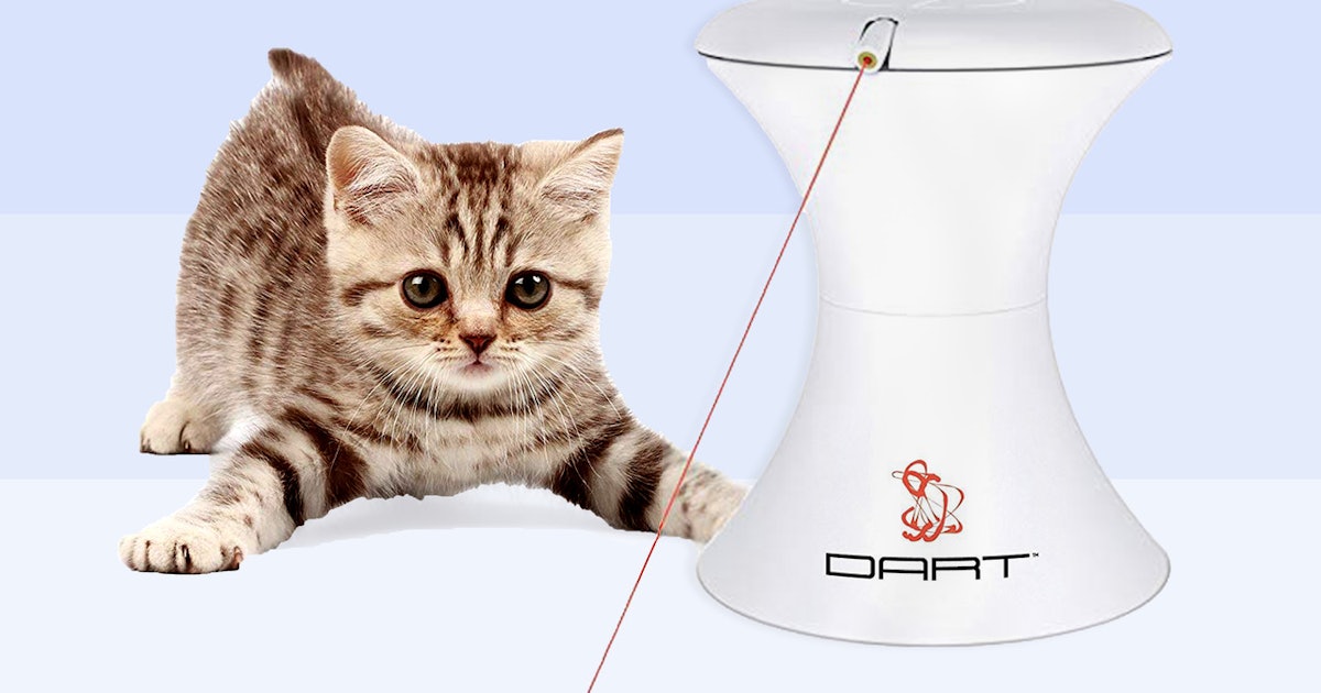 The 7 Best Interactive Cat Toys The 7 Best Interactive Cat Toys