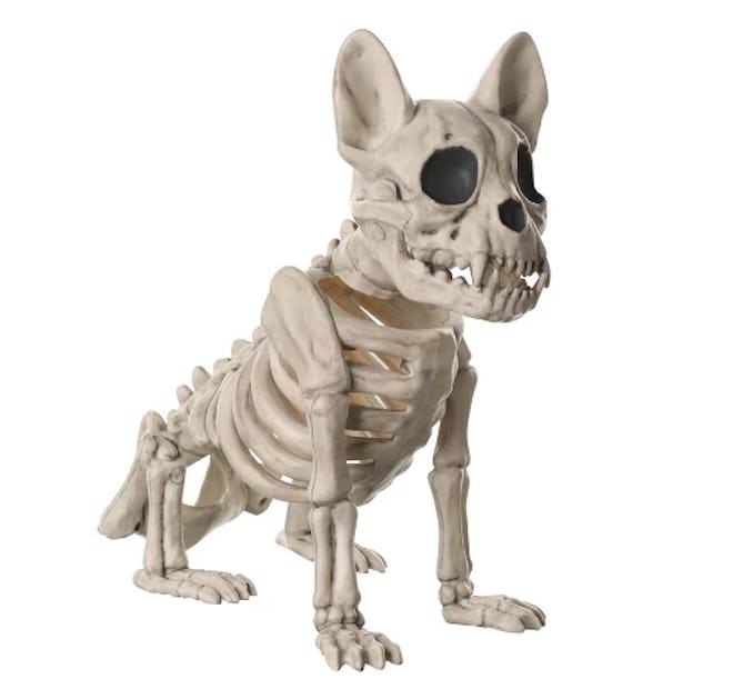 French Bulldog Skeleton