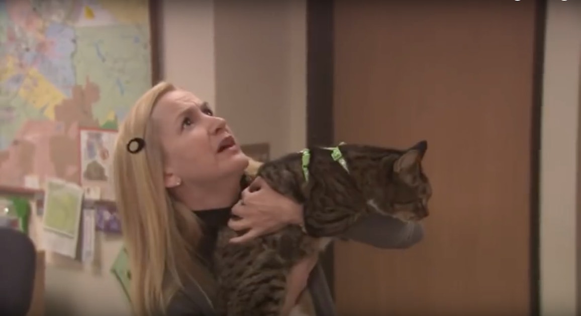 Video Of The Offices Angela And Oscar Recreating That Fire Drill Scene