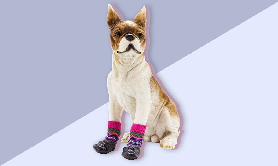 The 6 Best Dog Socks For Hardwood Floors