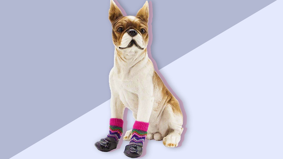 The 6 Best Dog Socks For Hardwood Floors