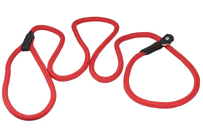 Dogs My Love Nylon Rope Slip Dog Lead