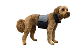 CoolerDog Cooling Vest And Collar