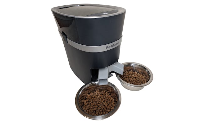 The 5 Best Automatic Cat Feeders