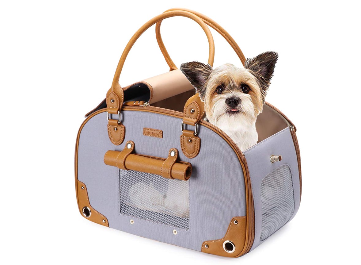 The 6 Best Small Dog Carriers