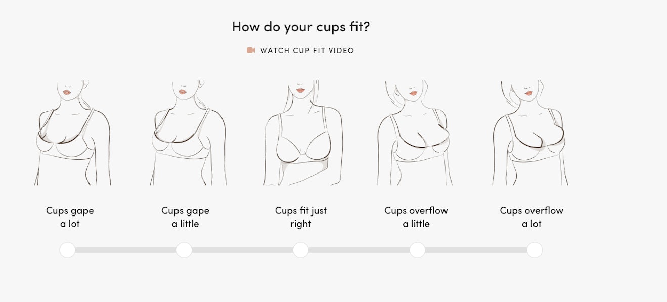 If the Bra Fits: Visualizing the Sheer Number of Bra Sizes Out