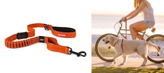 EzyDog Zero Shock Leash