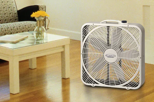 The 6 Best Cheap Fans Under $50