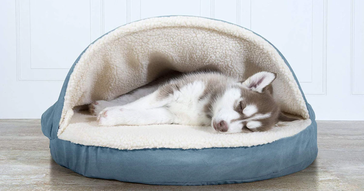 The 6 Best Cheap Dog Beds cheap dog beds for big dogs