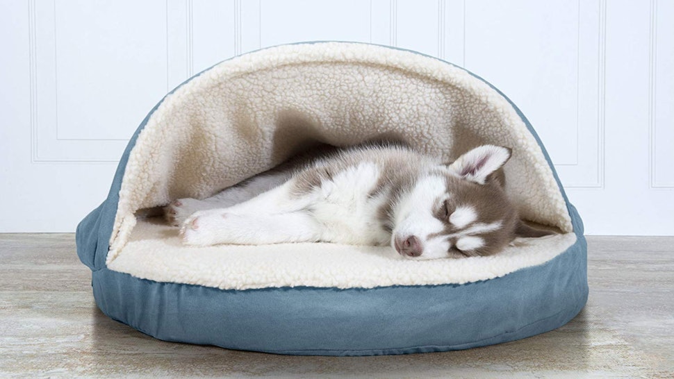 The 6 Best Cheap Dog Beds